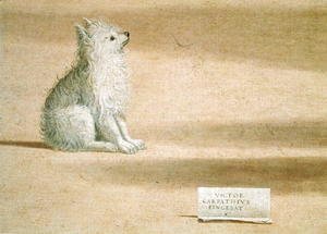 Vittore Carpaccio - Vision of St. Augustine (detail of the dog) 1502-08